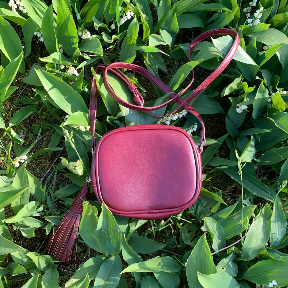 XII | Mini Crossbody - Picture 2 of 13
